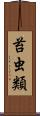 苔虫類 Scroll