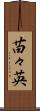 苗々英 Scroll
