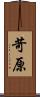 苛原 Scroll