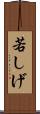 若しげ Scroll