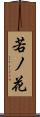 若ノ花 Scroll