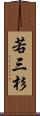 若三杉 Scroll