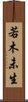 若木未生 Scroll