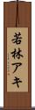 若林アキ Scroll