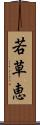 若草恵 Scroll