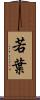 若葉 Scroll