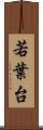 若葉台 Scroll