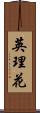 英理花 Scroll