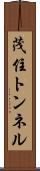 茂住トンネル Scroll