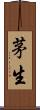 茅生 Scroll