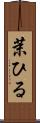 茉ひる Scroll
