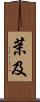 茉及 Scroll