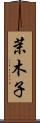 茉木子 Scroll
