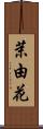 茉由花 Scroll