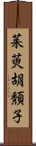 茱萸;胡頽子 Scroll