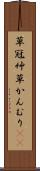 草冠 Scroll