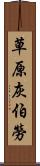 草原灰伯勞 Scroll