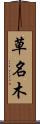 草名木 Scroll
