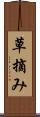 草摘み Scroll