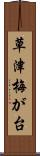 草津梅が台 Scroll