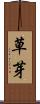 草芽 Scroll