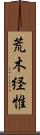荒木経惟 Scroll