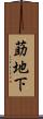 莇地下 Scroll