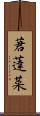 莙薘菜 Scroll