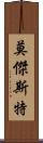 莫傑斯特 Scroll