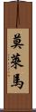 Molema Scroll