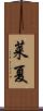 莱夏 Scroll