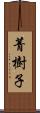 菁樹子 Scroll