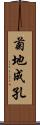 菊地成孔 Scroll