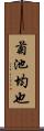 菊池均也 Scroll