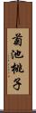 菊池桃子 Scroll