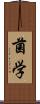菌学 Scroll