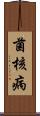 菌核病 Scroll