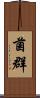菌群 Scroll