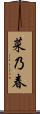 菜乃春 Scroll