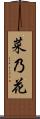 菜乃花 Scroll