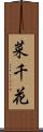 菜千花 Scroll