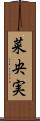 菜央実 Scroll