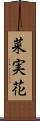 菜実花 Scroll
