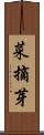 菜摘芽 Scroll