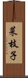 菜枝子 Scroll