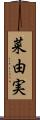 菜由実 Scroll