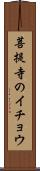 菩提寺のイチョウ Scroll