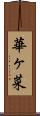 華ヶ菜 Scroll