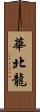 華北龍 Scroll