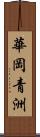 華岡青洲 Scroll